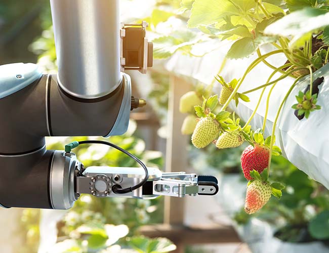 Farming and Agricultural Robots, Future of Farming, Smart Farm Automation